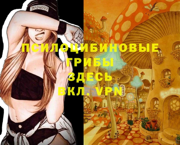 эйфоретик Алексеевка