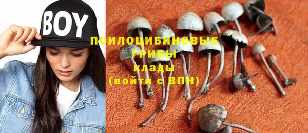эйфоретик Алексеевка
