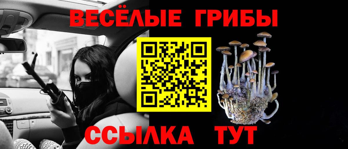 Невинномысск  Галлюциногенные грибы Psilocybine cubensis  Вход с VPN 